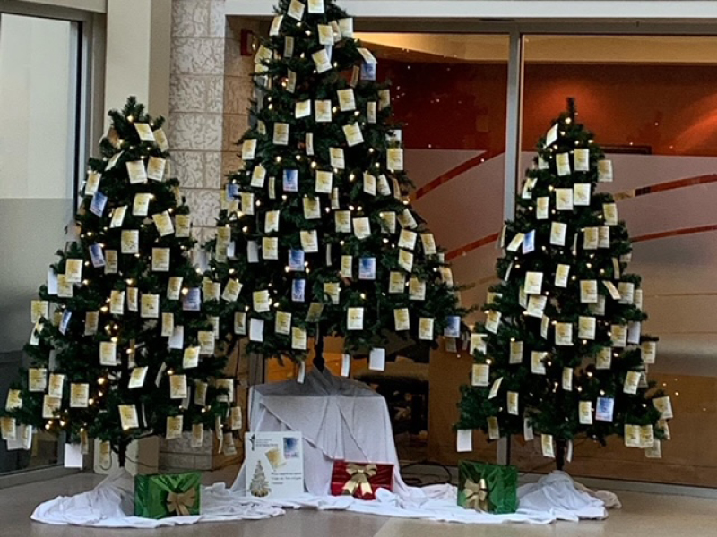 Three decorated trees for the Tree of Lights campaign 2020 Three decorated trees for the Tree of Lights campaign 2020